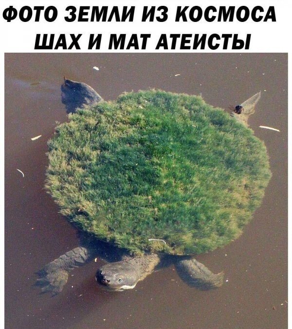 Черный-пречерный юмор 