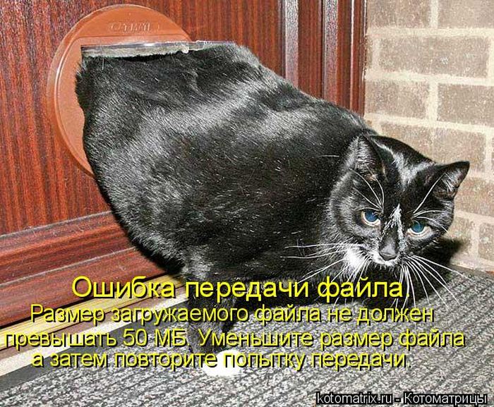 Мысли вслух :)