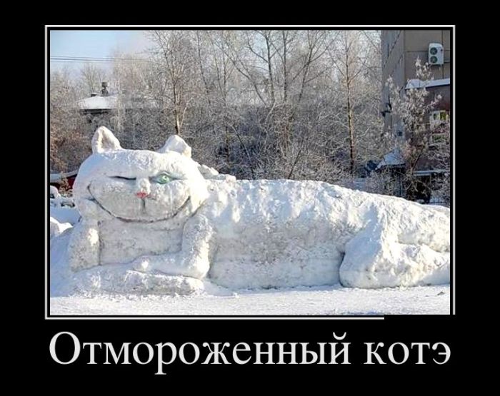 Порция демотиваторов на любой вкус 