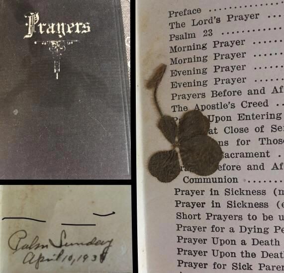 25 снимков, которые надо увидеть хотя бы раз в жизни природа