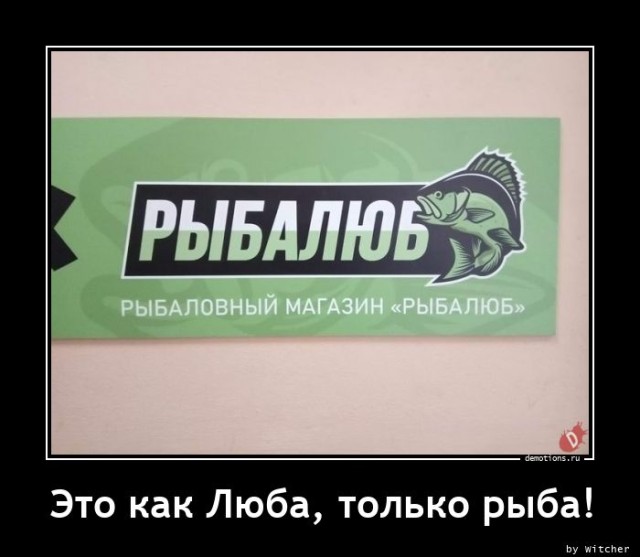 Демотиваторов прикольных сборник: «Заведи невесту, говорили они…» 
