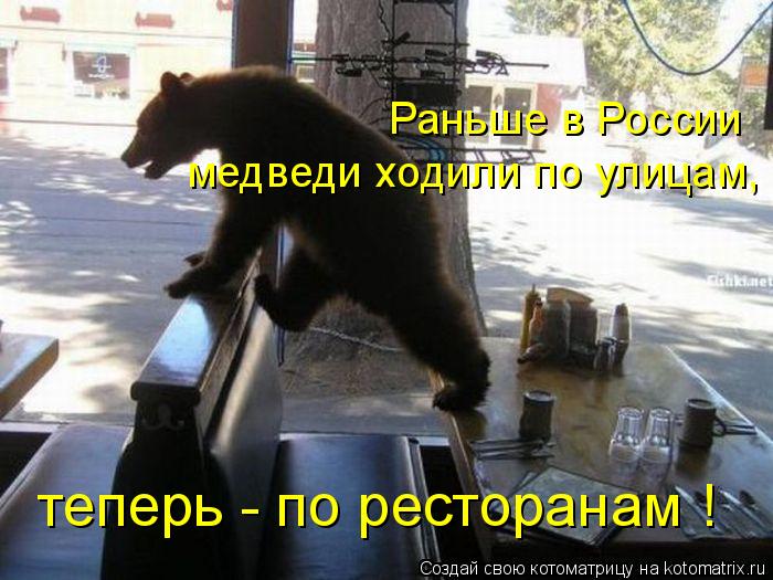 Котоматрица: медведи ходили по улицам, Раньше в России теперь - по ресторанам !