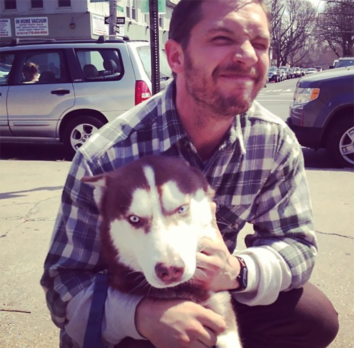 Love-for-dogs-tom-hardy