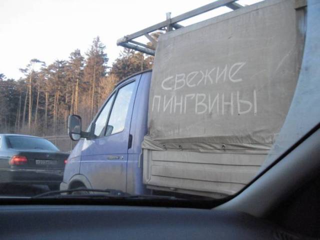 Фотомикс (36фоток)