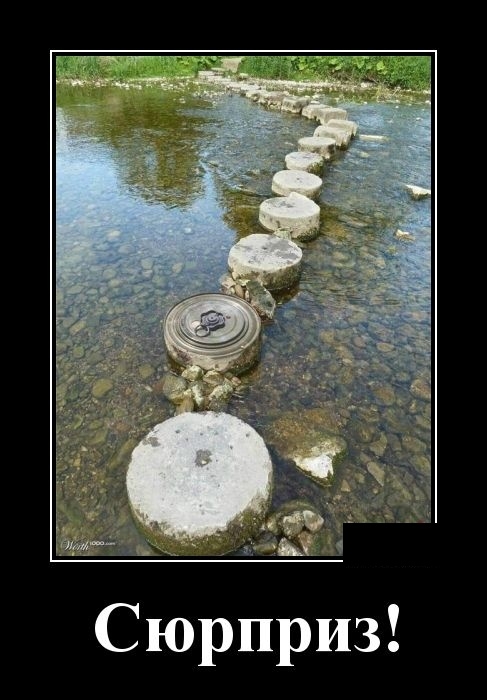 Демотиваторы майские Демотиваторы майские