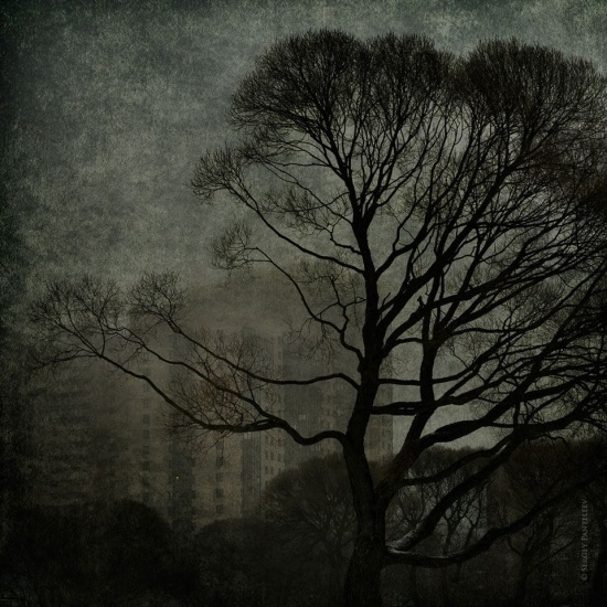 Фотохудожник Сергей Пантелеев. На гранитных берегах Невы Фотохудожник Сергей Пантелеев. На гранитных берегах Невы