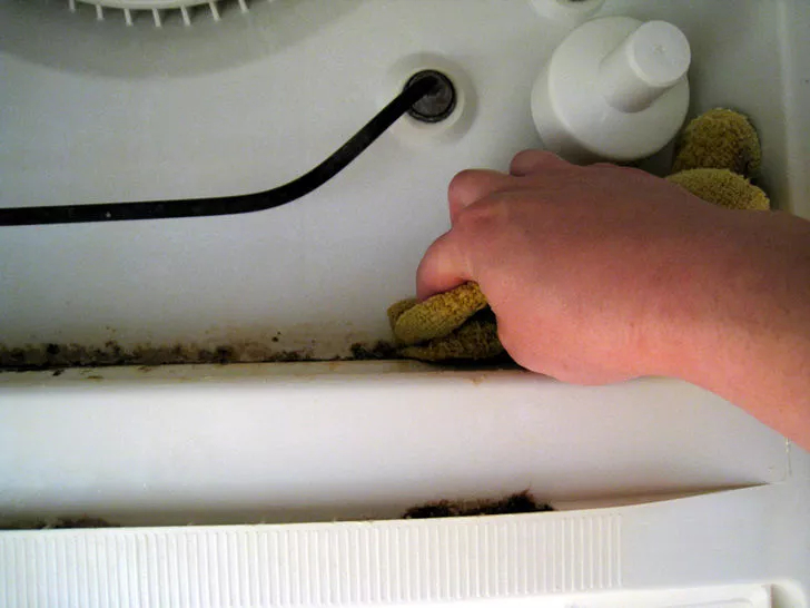 Как чистить посудомоечную машину чтобы, посудомойки, мусор, посудомойку, которые, средства, перед, убрать, средство, вашей, тряпкой, может, детали, полоскания, отбеливатель, посудомоек, отверстие, уксуса, водой, тарелки