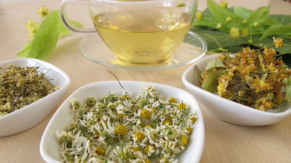 Лечение глаз травами: без химии можно улучшить зрение!