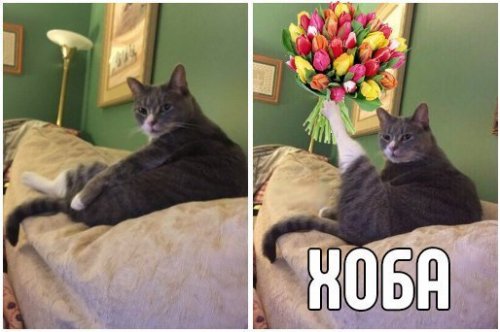 Анекдоты для настроения (11 шт) Анекдоты для настроения (11 шт)