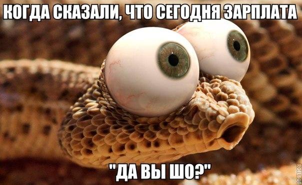 Подборка зачетных, классных и прикольных фотографий с забавными надписями со смыслом Подборка зачетных, классных и прикольных фотографий с забавными надписями со смыслом картинки с надписями,красивые фотографии,прикольные картинки,смешные картинки,смешные комментарии