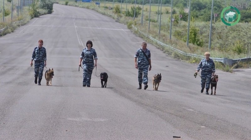 Кинологи МВД ЛНР рассказали, как воспитать послушную собаку