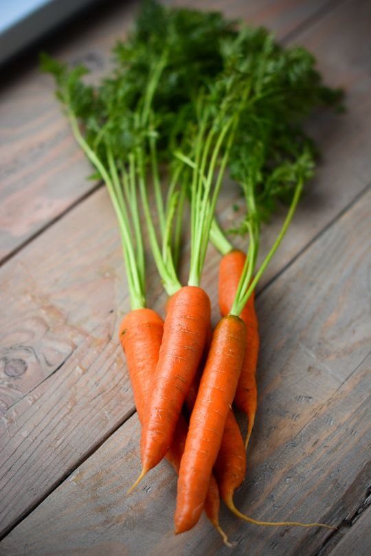 Как вырастить ровную красивую морковь морковь, моркови, Морковь, только, семена, стоит, плоды, почву, после, получить, всходы, цвета, неделю, имеют, цилиндра, форму, бороздки, подкармливать, средней, землей