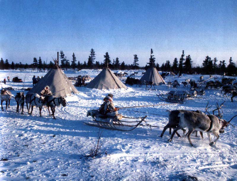 Северные традиции