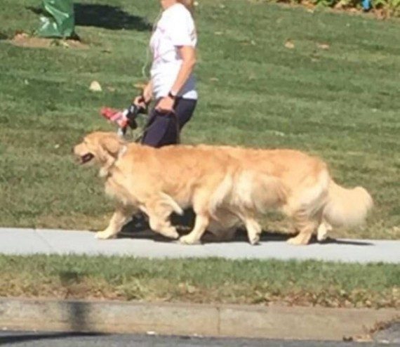 Тут происходит нечто непонятное... Тут происходит нечто непонятное...