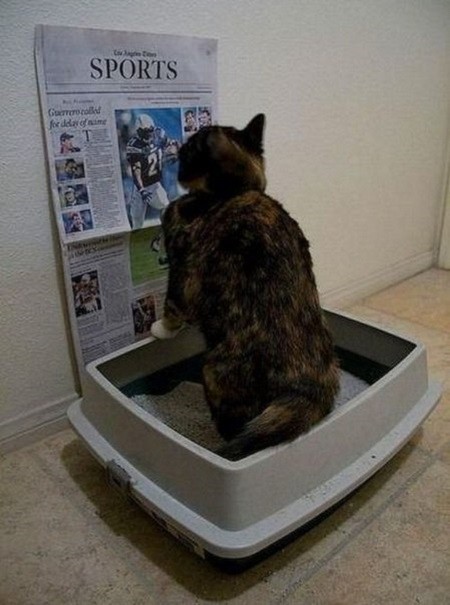 Очередная подборка картинок с подписями картинки с подписями, подборка, юмор