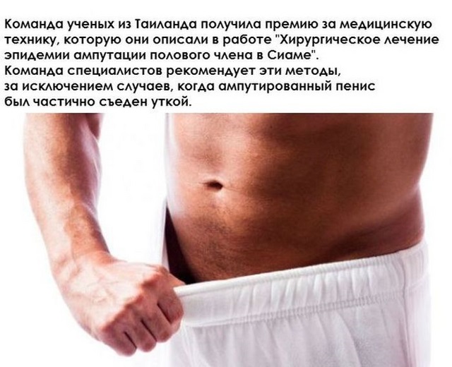 Необычные исследования в разных областях 