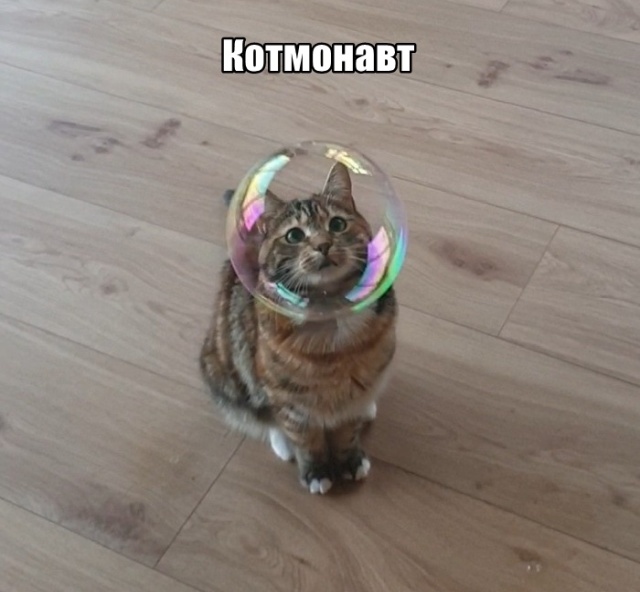 Подборка прикольных картинок Подборка прикольных картинок смешные картинки