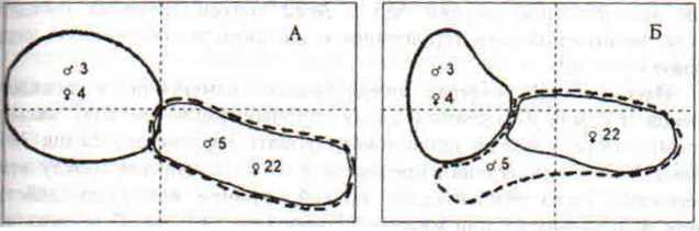  Рас 42. Взаимное расположение семейно-групповых участков монгольских песчанок дo начала (А) и по окончании (Б) эксперимента с антидепрессантом парнатом. 1 – границы территории самца №3 и самки №4, 2- граница территории самца №5, 3- границы территории самки №22. Пунктиром показана осевая разметка площадки наблюдений. Масштаб 10 м. 