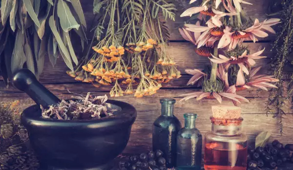 Весенние травы для заклинаний