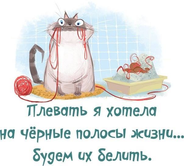 Открытки, с добрым утром улыбнись картинки прикольные
