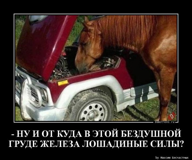 Демотиваторы – приколы: «Я же говорил…» Демотиваторы – приколы: «Я же говорил…»