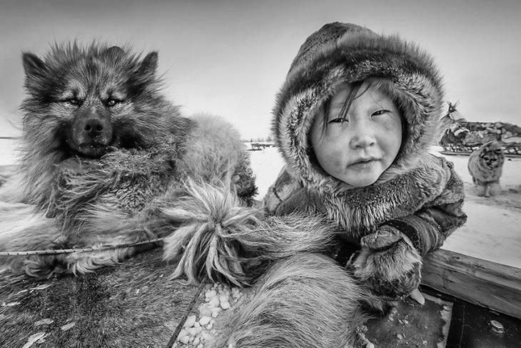 30 потрясающих фотографий с престижного фотоконкурса Siena International Photo Awards 2018 интересное