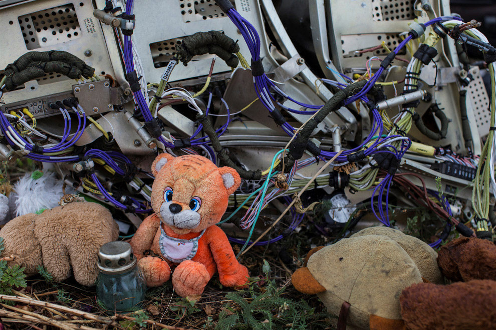 Катастрофа Boeing 777 в Донецкой области — 298 погибших