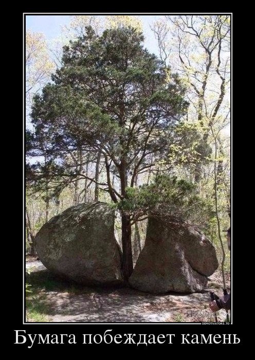 Очередная порция демотиваторов 