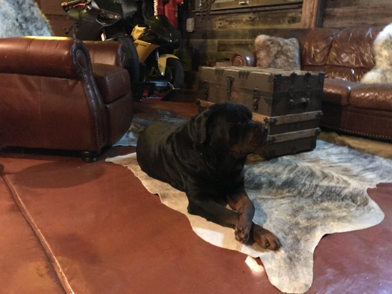 Мотоциклист превратил неприметный гараж в крутое «мужское логово» авто и мото,автоновости,гараж,история