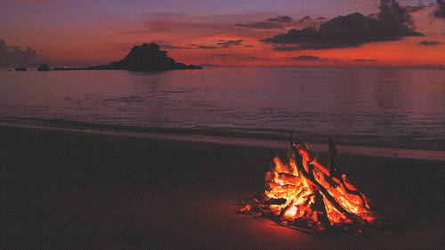 Подборка гифок Подборка гифок смешные картинки