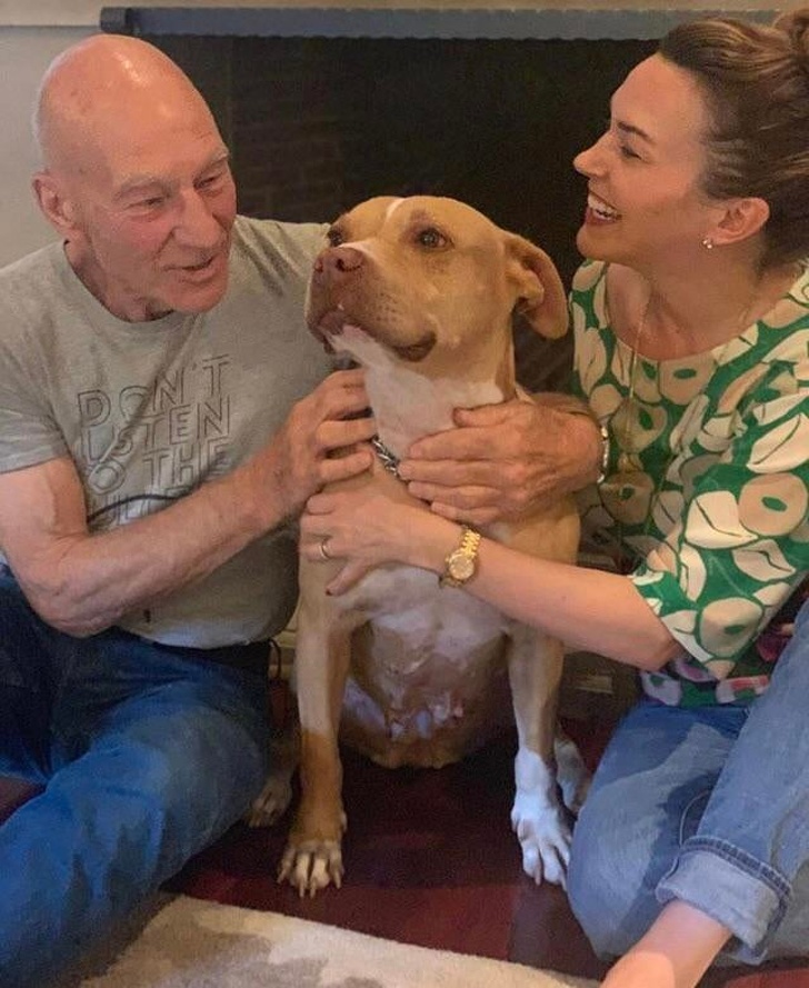 20+ доказательств того, что подарить бездомным животным новую жизнь — бесценно животные,жизнь,общество,приюты