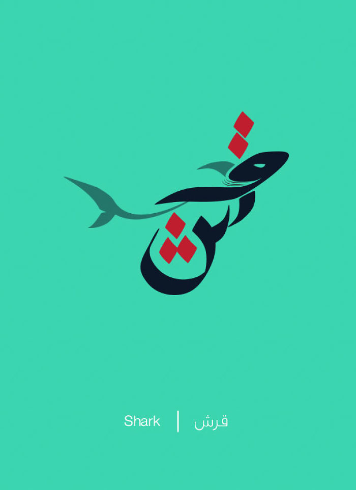 Shark - Qearsh