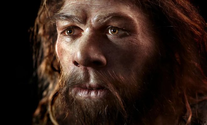 Ученые выяснили, что между людьми и неандертальцами было противостояние, которое длилось почти 100 тысяч лет