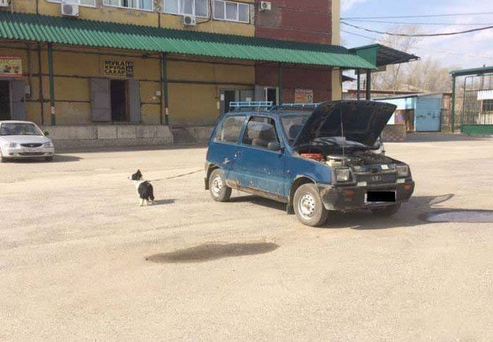 Только в России (36 фото) картинки, россия, юмор