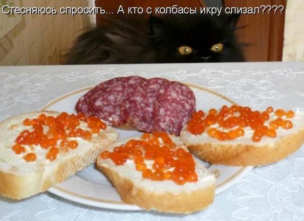 Мысли вслух :)