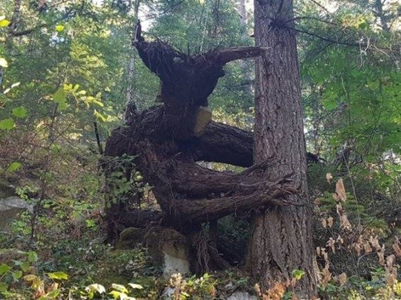 Тут происходит нечто непонятное... Тут происходит нечто непонятное...