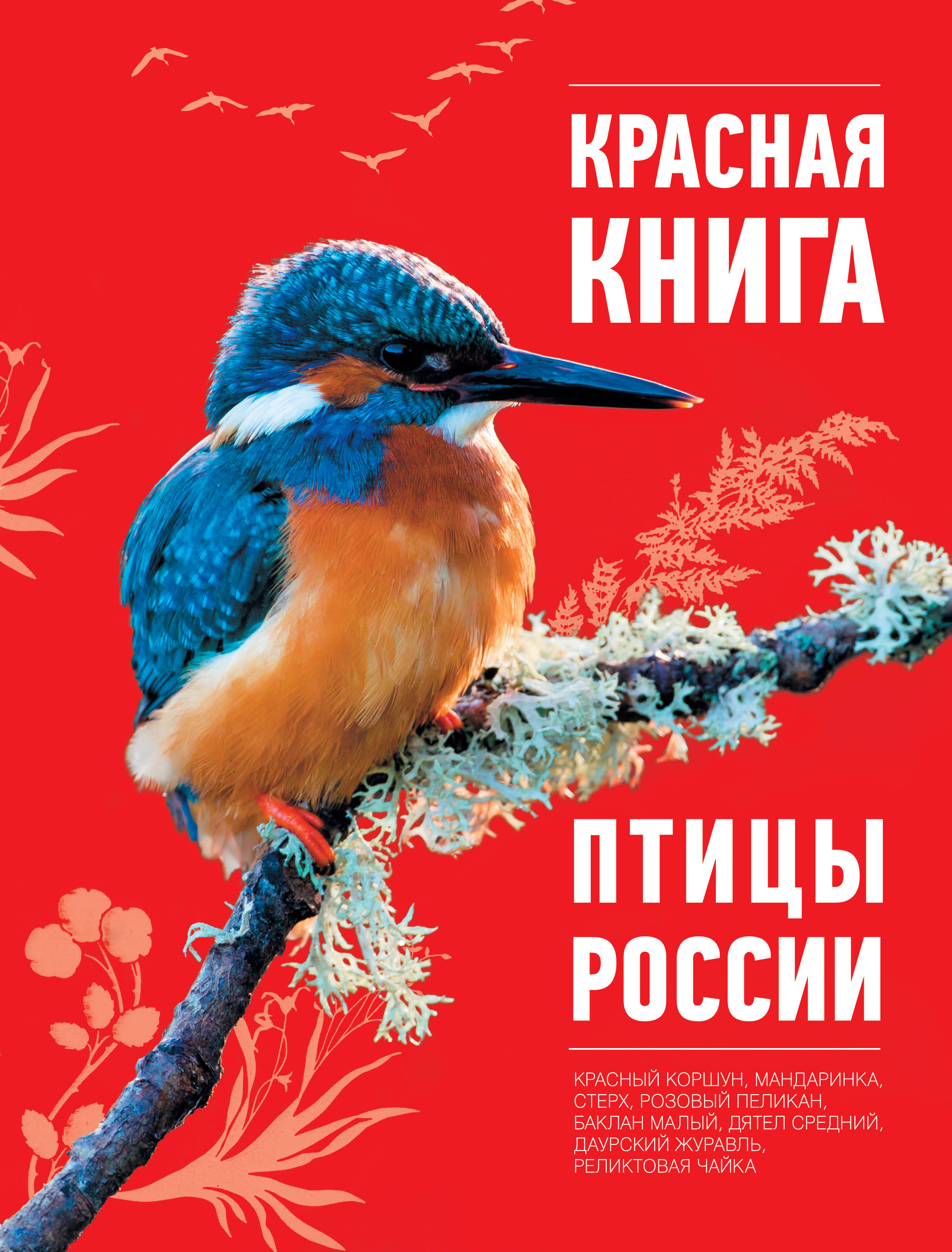 Красная книга список птиц. Птицы красной книги. Птицы красной книги России.
