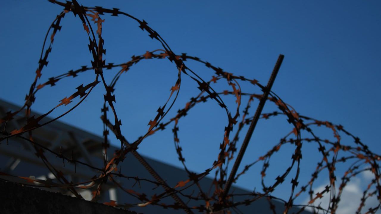 Труп беженца без верхней одежды обнаружили на белорусско-польской границе