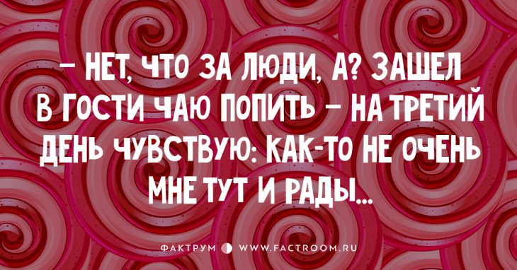 20 чрезвычайно смешных анекдотов, которые украсят ваш день позитивными эмоциями!