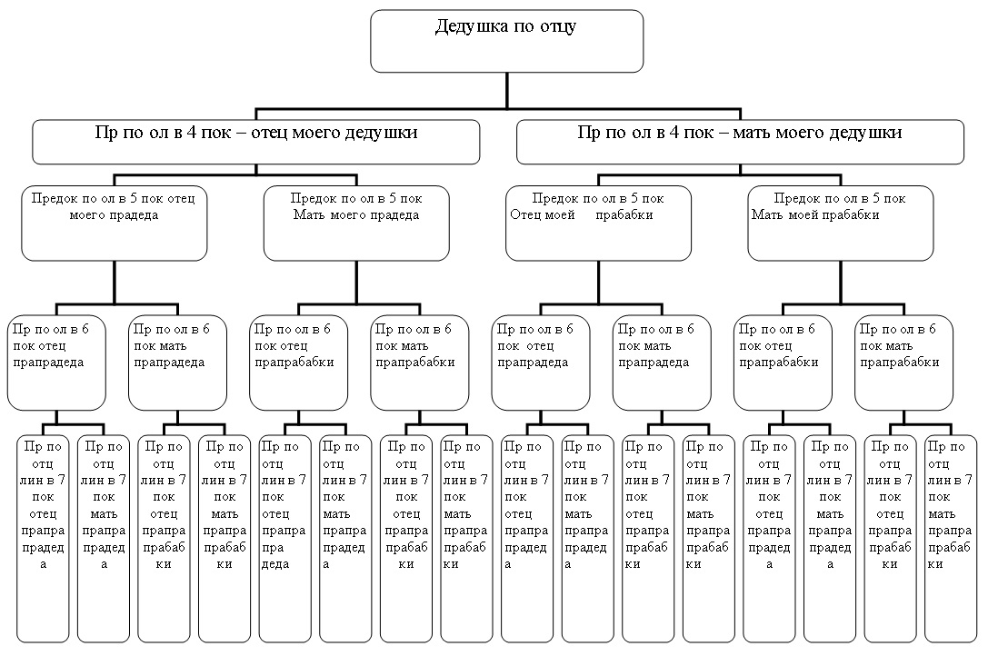Родовое дерево до 7 колена схема для заполнения
