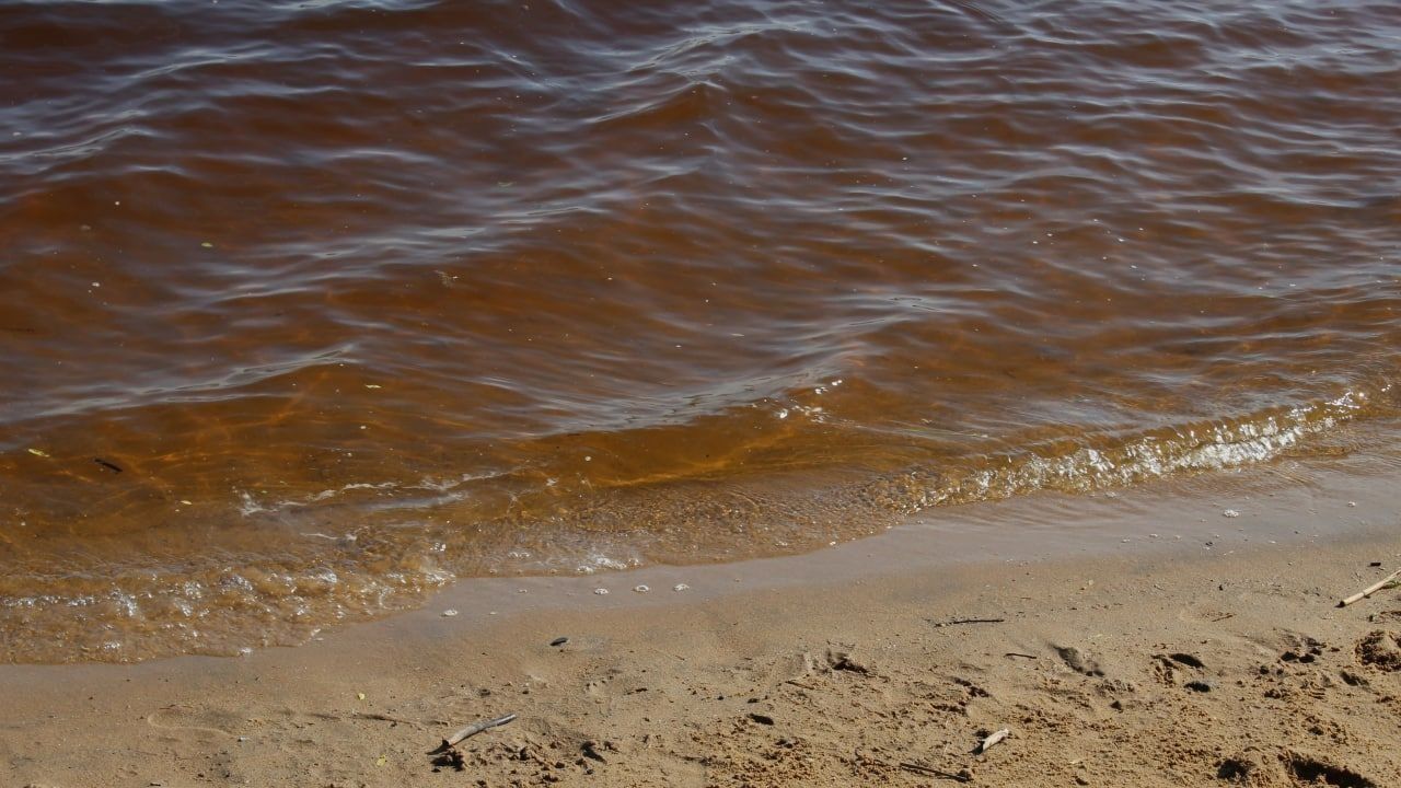 В Красноярске семилетняя девочка утонула при попытке достать мяч из реки