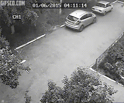 100% факт, пить - вредно! 100% факт, пить - вредно! смешные картинки