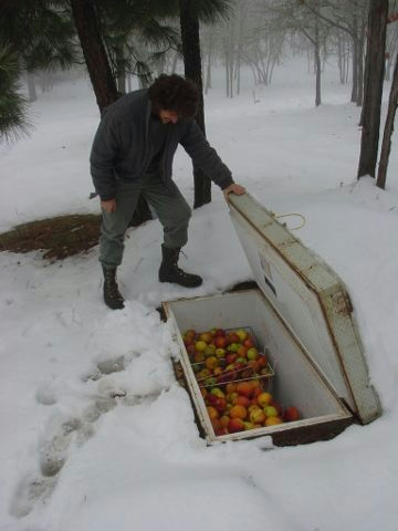 Для сада и дачи Для сада и дачи самоделкин