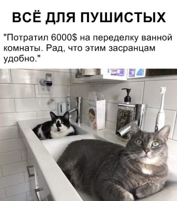 Фотоподборка четверга Фотоподборка четверга