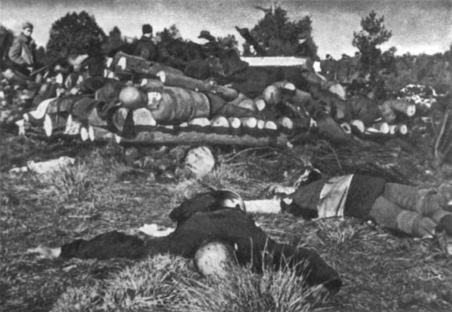 Фото 1. Лагерь Klooga. Одна из первых фотографий с места ликвидации узников лагеря.
