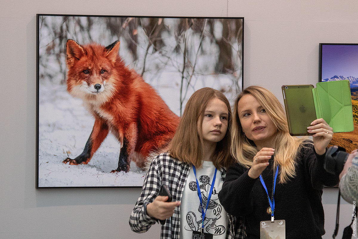 Зверь с человеческим лицом. Краеугольный камень природной фотографии. фотографии, более, фотографий, сколько, будет, очень, этого, больше, лучше, жизни, медведей, снимает, всегда, дикой, просто, который, природы, всего, лучших, момент