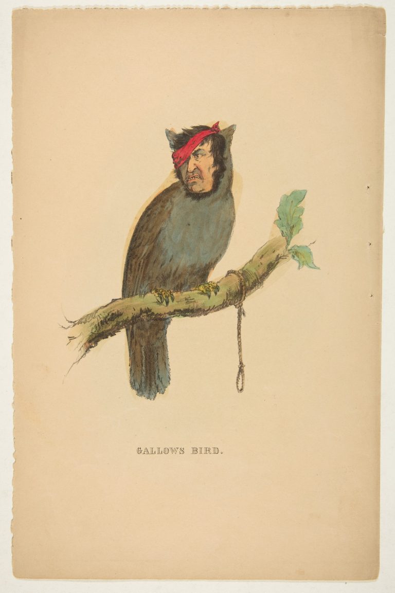 natural-history-of-the-human-race-sallow-bird-768x1154.jpg