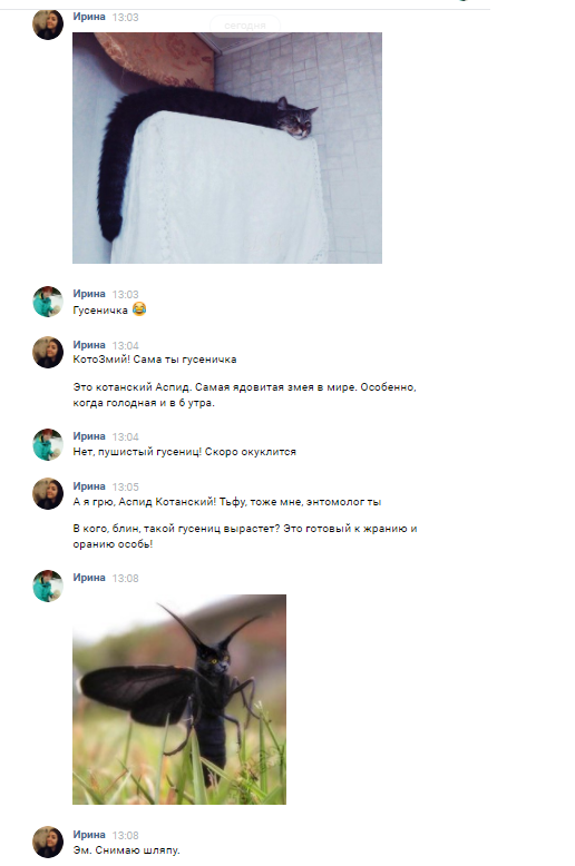 Смешные комментарии и высказывания из социальных сетей высказывания, комментарии, прикол