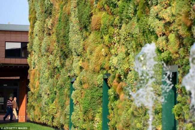 Fiordaliso — уникальный вертикальный сад в Италии Италия,ландшафтный дизайн,рекорды
