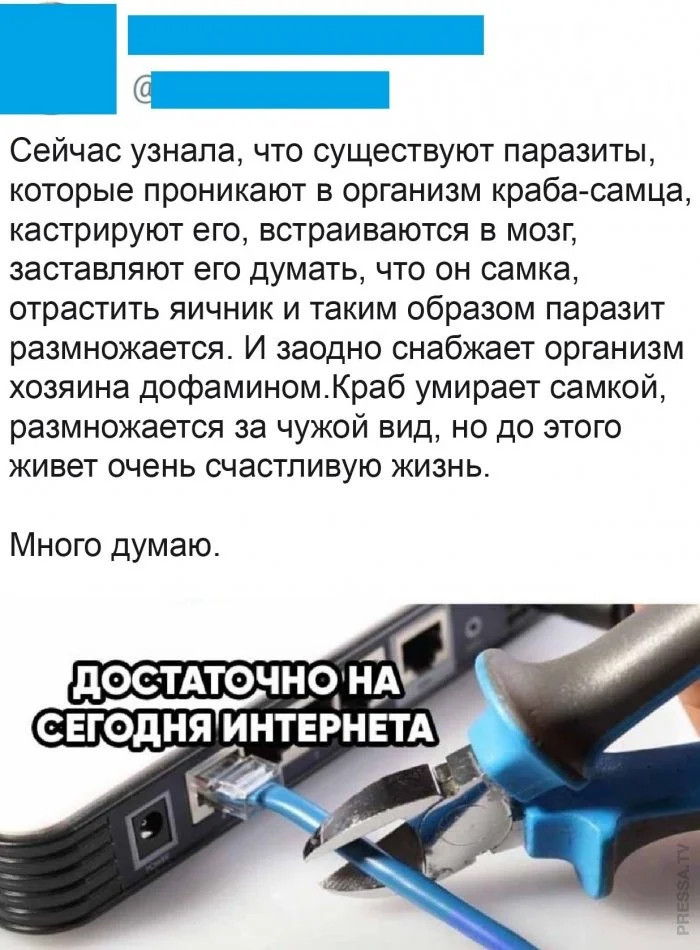 Интернет мемы во вторник и кастрюля 